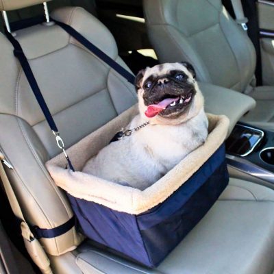 Devoted Doggy Seat