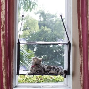 LIFIS Cat Window Perch