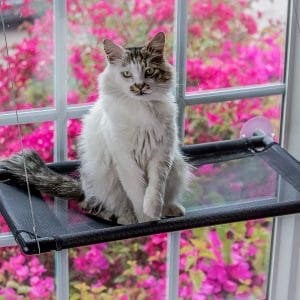Monkeen Cat Window Perch Hammock