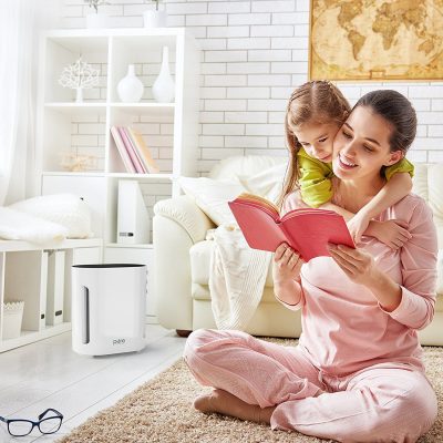 Top 10 Best Electric Dehumidifiers Reviews in 2018