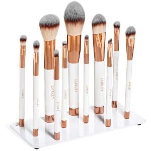 Luxley Professional Beauty brushes set