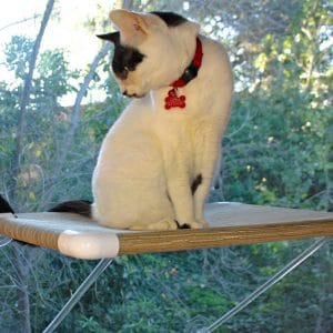 Ultimate Cat Perch –