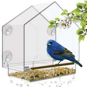 Nature’s Hangout Window Bird Feeder