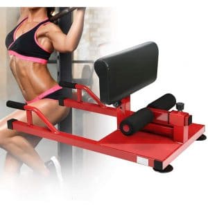 Enow 3-in-1 Multifunctional Sissy Squat Machine for Home Cardio Workout